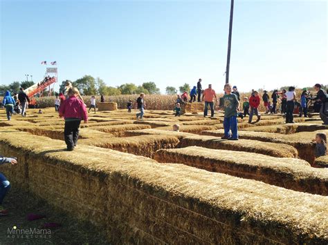 sever's corn maze mn|severs corn maze shakopee mn.